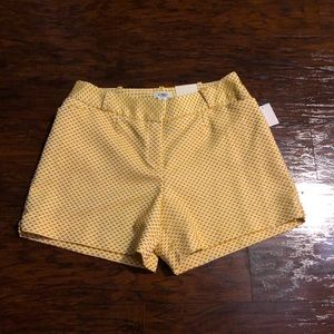 Cato Classic Below Waist Shorts Yellow White Sz16
